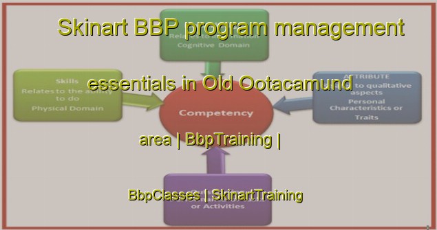 Skinart BBP program management essentials in Old Ootacamund area | BbpTraining | BbpClasses | SkinartTraining-India